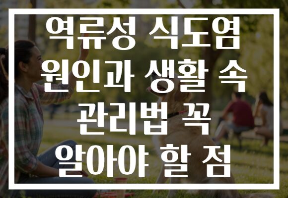 역류성 식도염 원인과 생활 속 관리법 꼭 알아야 할 점
