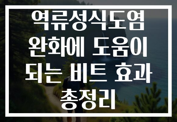 역류성식도염 완화에 도움이 되는 비트 효과 총정리