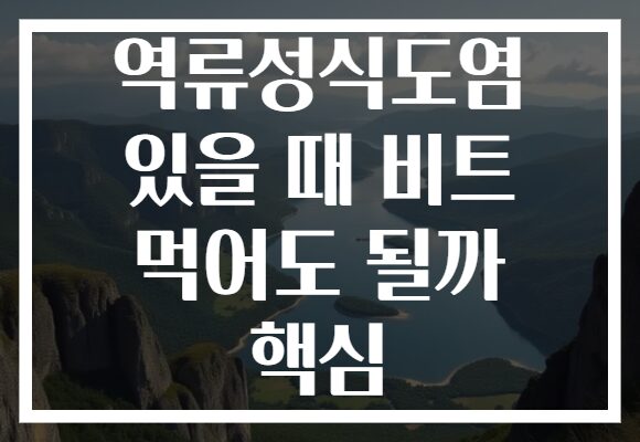 역류성식도염 있을 때 비트 먹어도 될까 핵심