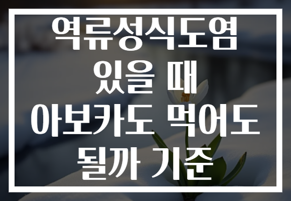 역류성식도염 있을 때 아보카도 먹어도 될까 기준