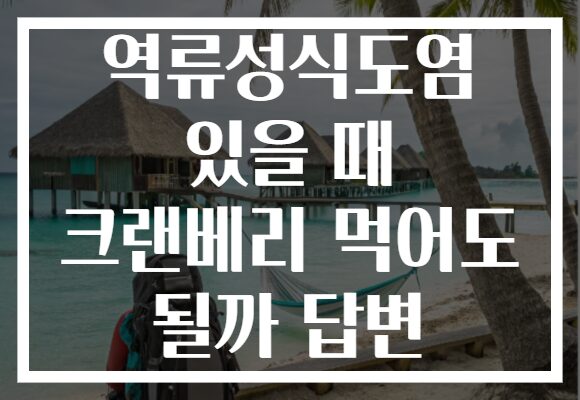 역류성식도염 있을 때 크랜베리 먹어도 될까 답변