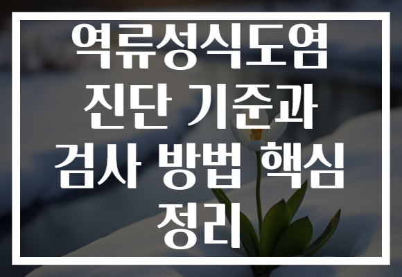 역류성식도염 진단 기준과 검사 방법 핵심 정리