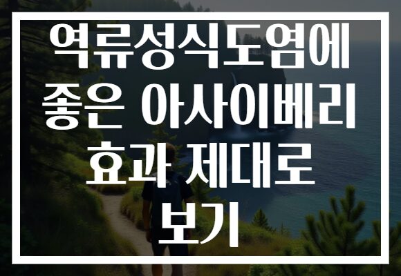 역류성식도염에 좋은 아사이베리 효과 제대로 보기