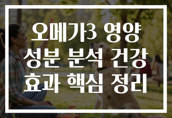 오메가3 영양 성분 분석 건강 효과 핵심 정리