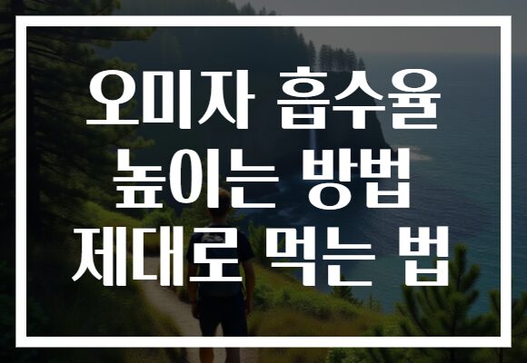 오미자 흡수율 높이는 방법 제대로 먹는 법