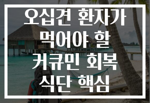 오십견 환자가 먹어야 할 커큐민 회복 식단 핵심