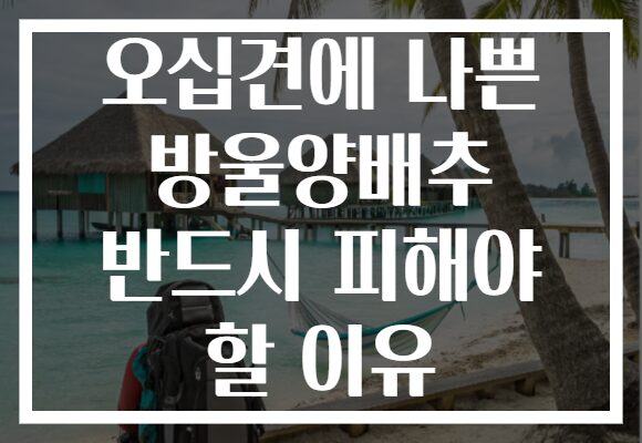 오십견에 나쁜 방울양배추 반드시 피해야 할 이유