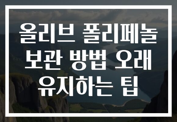 올리브 폴리페놀 보관 방법 오래 유지하는 팁