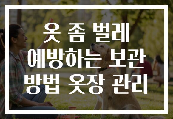 옷 좀 벌레 예방하는 보관 방법 옷장 관리