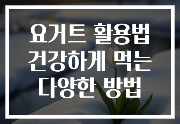 요거트 활용법 건강하게 먹는 다양한 방법