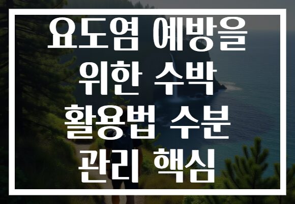 요도염 예방을 위한 수박 활용법 수분 관리 핵심