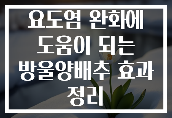 요도염 완화에 도움이 되는 방울양배추 효과 정리