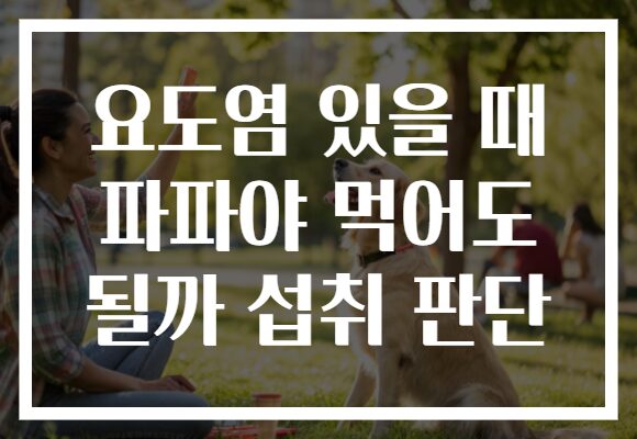 요도염 있을 때 파파야 먹어도 될까 섭취 판단