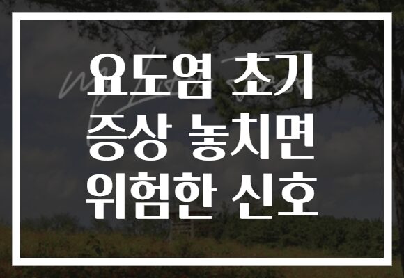 요도염 초기 증상 놓치면 위험한 신호