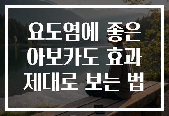 요도염에 좋은 아보카도 효과 제대로 보는 법