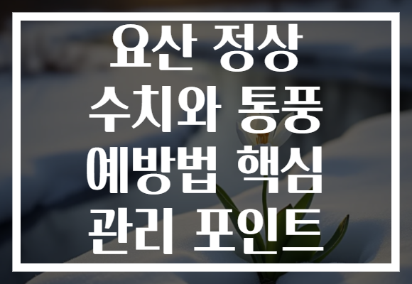 요산 정상 수치와 통풍 예방법 핵심 관리 포인트