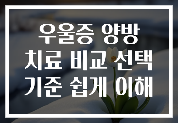 우울증 양방 치료 비교 선택 기준 쉽게 이해