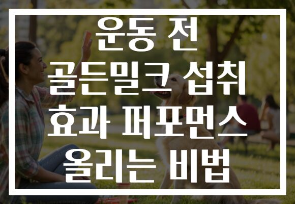 운동 전 골든밀크 섭취 효과 퍼포먼스 올리는 비법