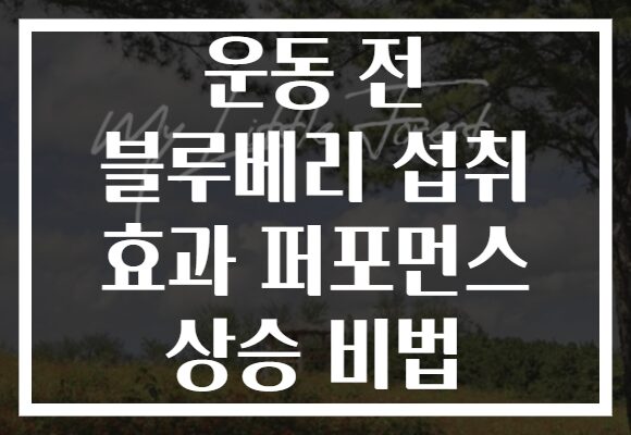 운동 전 블루베리 섭취 효과 퍼포먼스 상승 비법