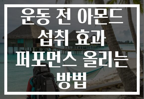 운동 전 아몬드 섭취 효과 퍼포먼스 올리는 방법
