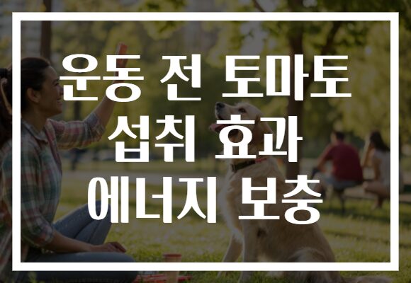 운동 전 토마토 섭취 효과 에너지 보충