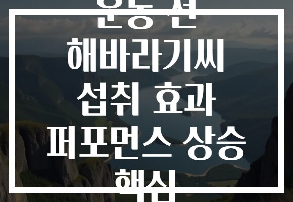 운동 전 해바라기씨 섭취 효과 퍼포먼스 상승 핵심