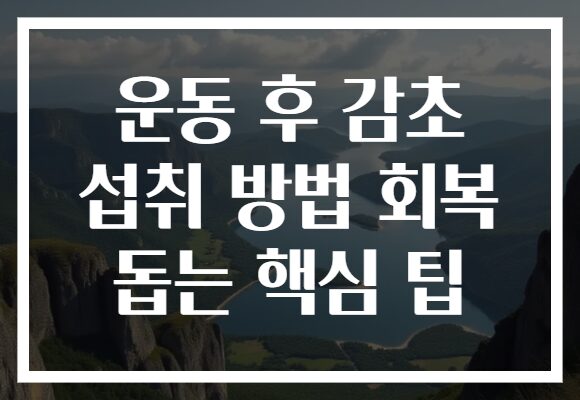 운동 후 감초 섭취 방법 회복 돕는 핵심 팁