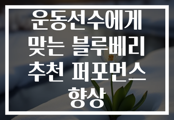 운동선수에게 맞는 블루베리 추천 퍼포먼스 향상