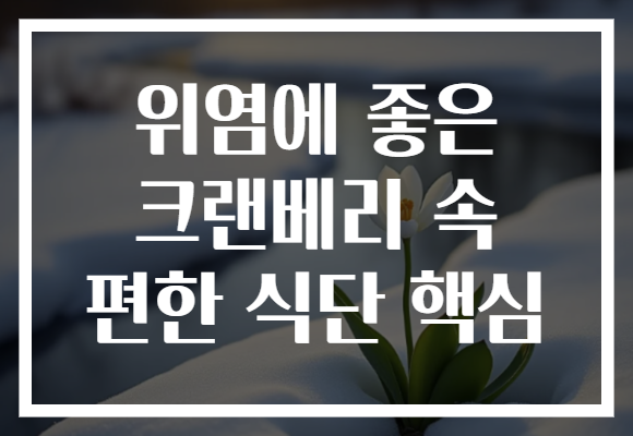 위염에 좋은 크랜베리 속 편한 식단 핵심