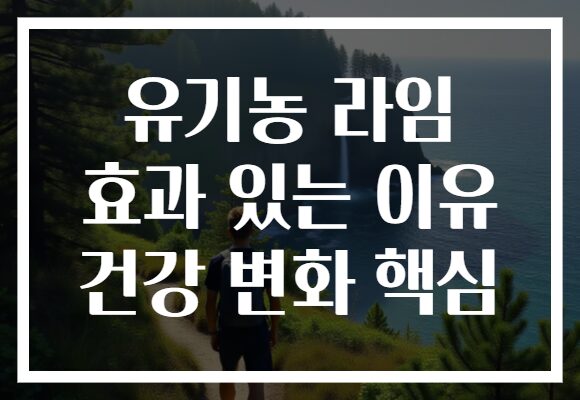 유기농 라임 효과 있는 이유 건강 변화 핵심