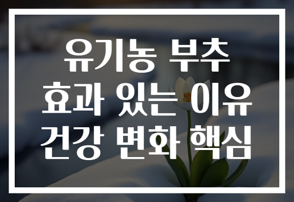 유기농 부추 효과 있는 이유 건강 변화 핵심