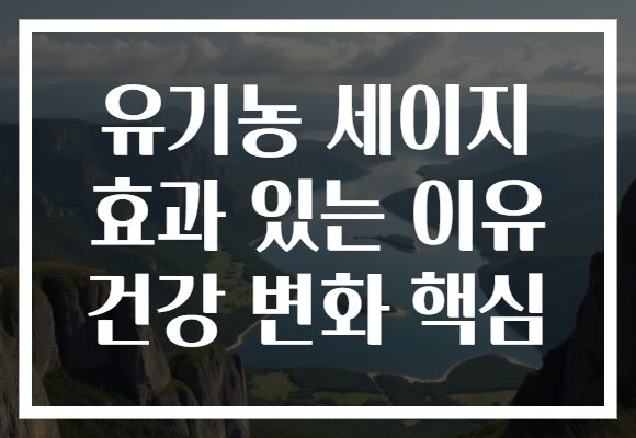 유기농 세이지 효과 있는 이유 건강 변화 핵심