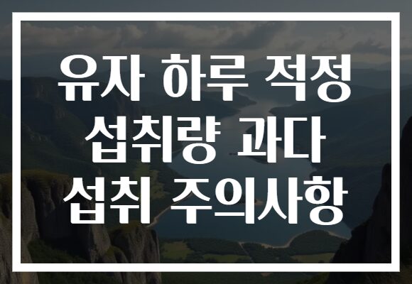 유자 하루 적정 섭취량 과다 섭취 주의사항