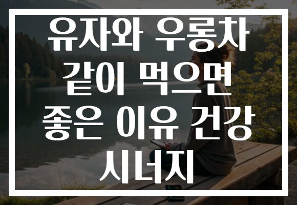 유자와 우롱차 같이 먹으면 좋은 이유 건강 시너지