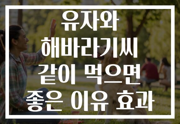 유자와 해바라기씨 같이 먹으면 좋은 이유 효과