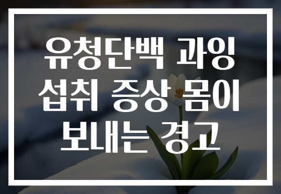 유청단백 과잉 섭취 증상 몸이 보내는 경고