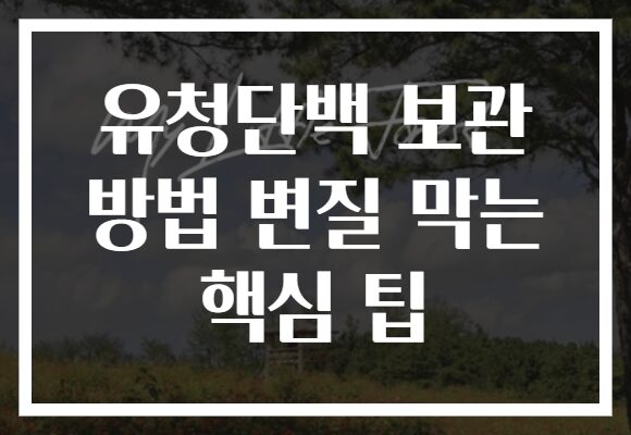 유청단백 보관 방법 변질 막는 핵심 팁