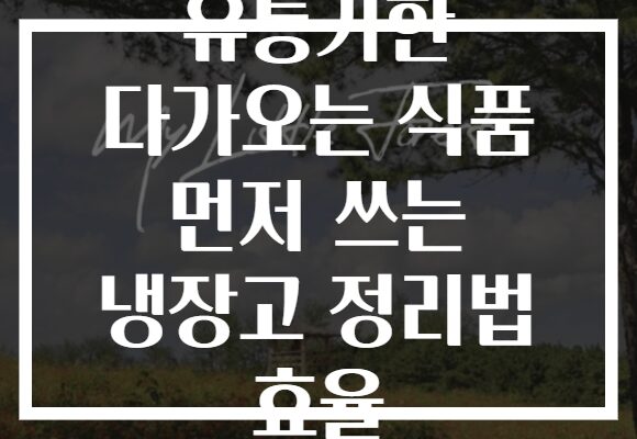 유통기한 다가오는 식품 먼저 쓰는 냉장고 정리법 효율