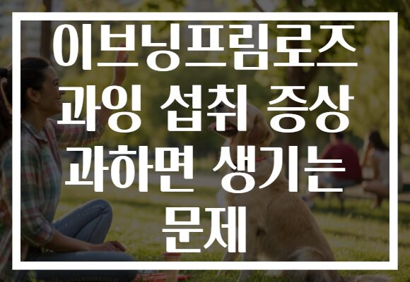 이브닝프림로즈 과잉 섭취 증상 과하면 생기는 문제