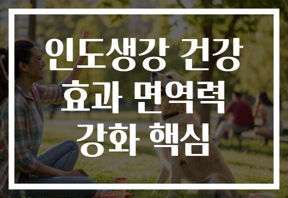 인도생강 건강 효과 면역력 강화 핵심