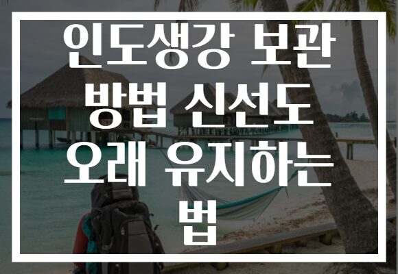 인도생강 보관 방법 신선도 오래 유지하는 법