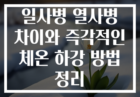 일사병 열사병 차이와 즉각적인 체온 하강 방법 정리
