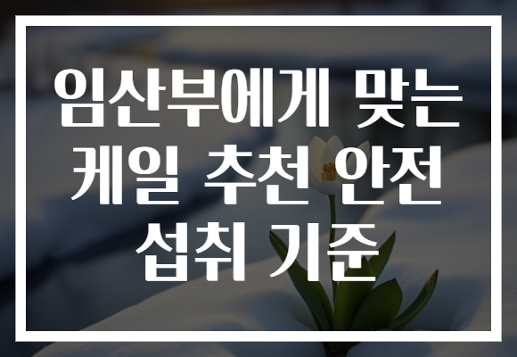 임산부에게 맞는 케일 추천 안전 섭취 기준