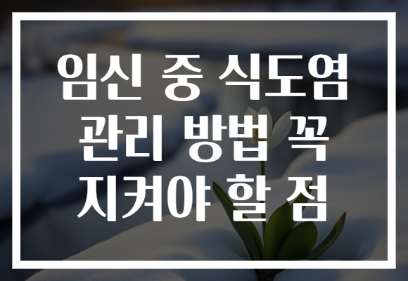임신 중 식도염 관리 방법 꼭 지켜야 할 점