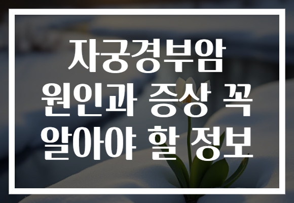 자궁경부암 원인과 증상 꼭 알아야 할 정보