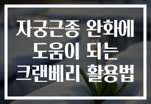 자궁근종 완화에 도움이 되는 크랜베리 활용법