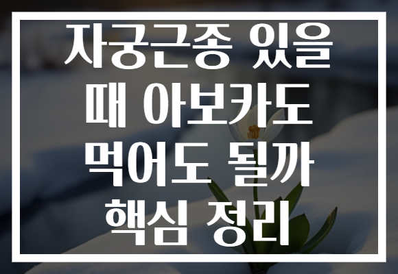 자궁근종 있을 때 아보카도 먹어도 될까 핵심 정리