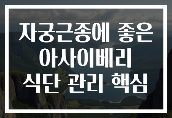 자궁근종에 좋은 아사이베리 식단 관리 핵심