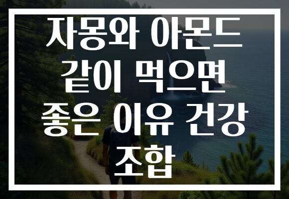 자몽와 아몬드 같이 먹으면 좋은 이유 건강 조합