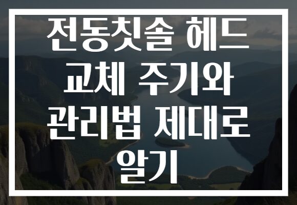 전동칫솔 헤드 교체 주기와 관리법 제대로 알기